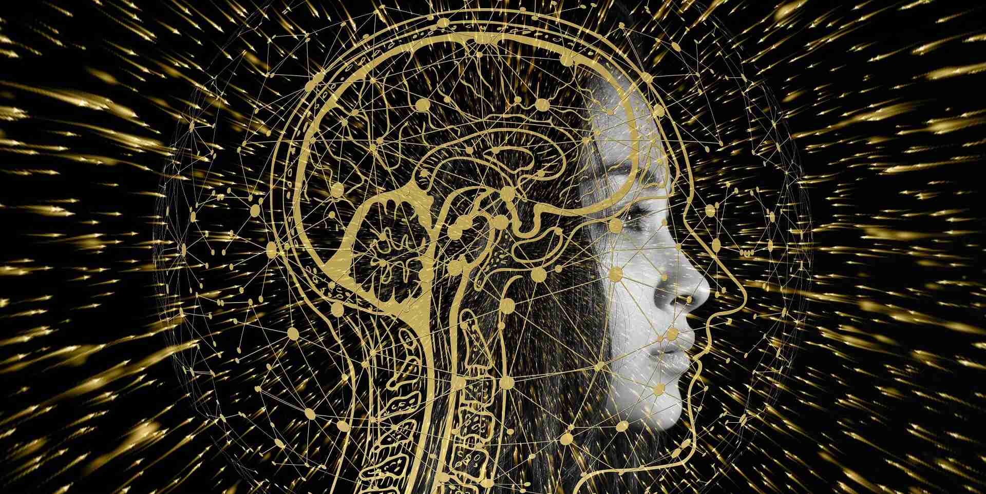 Quantum Computers
