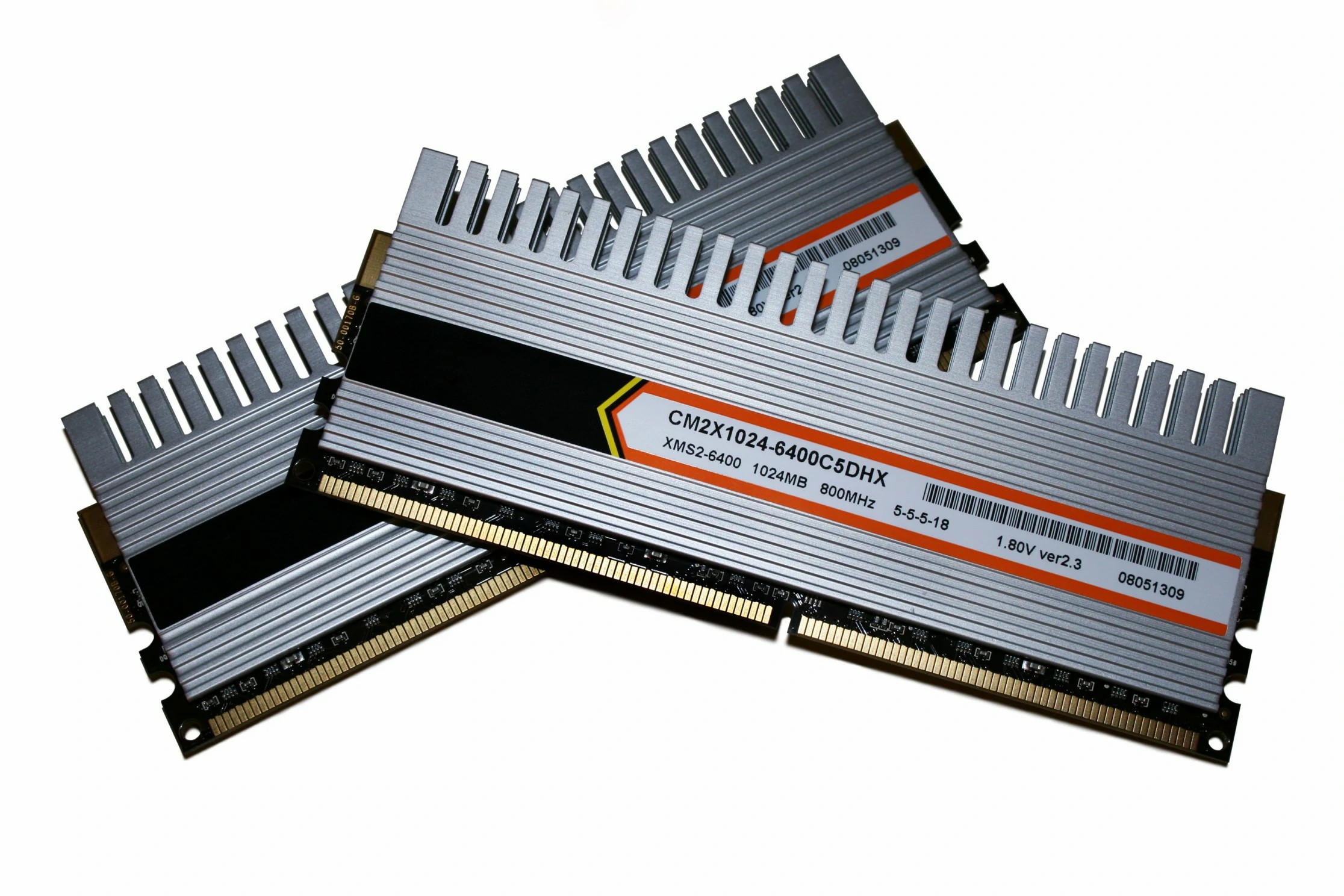 ram